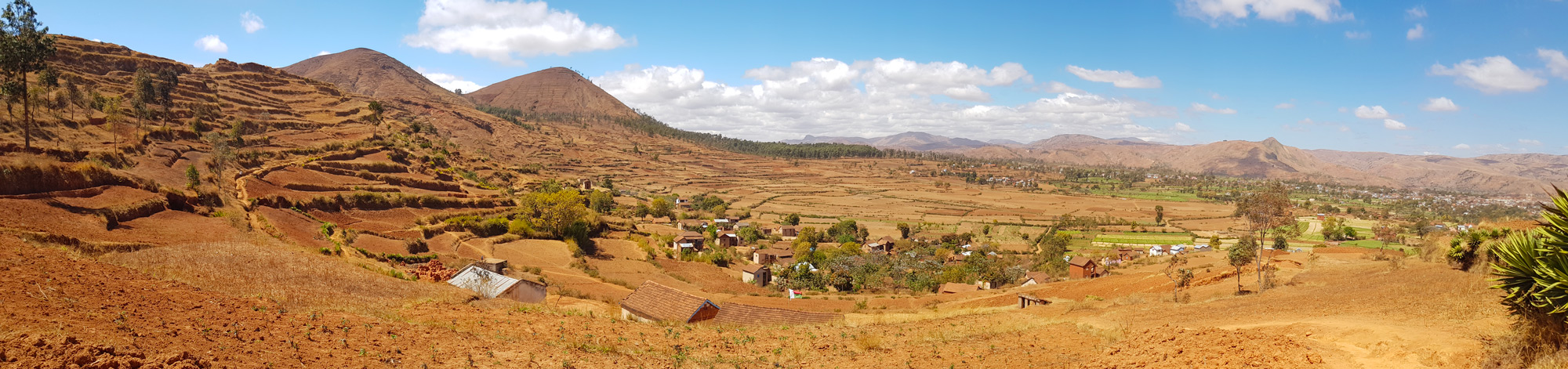 SRI-systeme de riziculture intensive à Madagascar