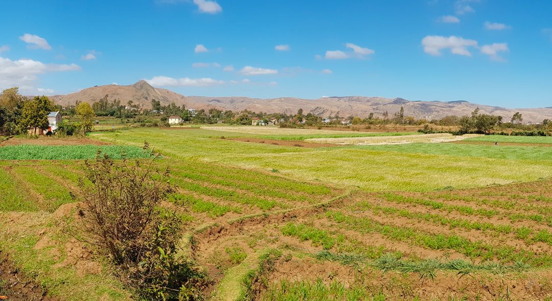2019 à 2022 – SRI et diversification de l’agriculture